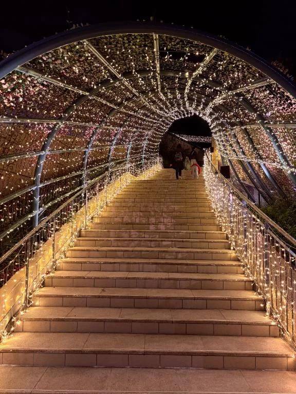 ☆本日の御礼☆