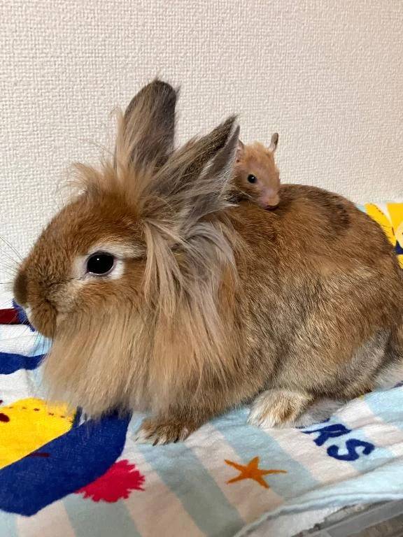 さとみの･･･♡