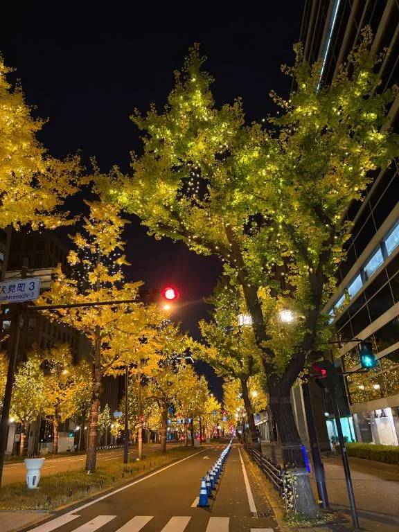 ☆本日の御礼☆