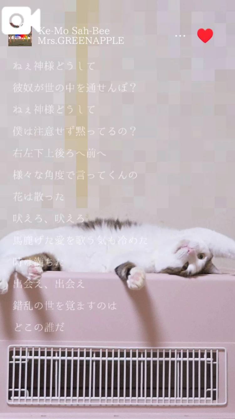 本日