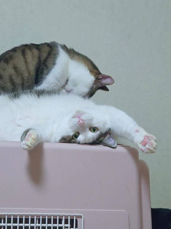 出勤