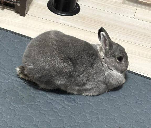 次回明日水曜日♡‬