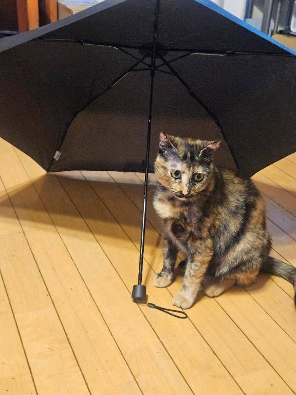 つぎの出勤は❤️