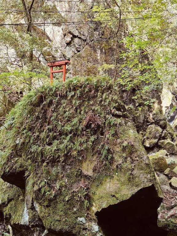 本日お休み