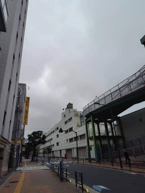 おはようございます(*^^*)