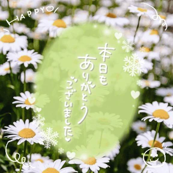 降らなかったね☔️