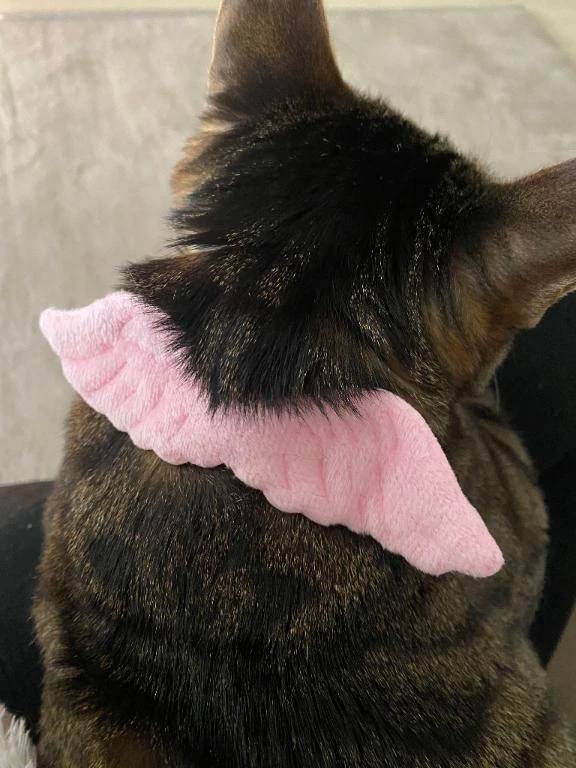 振り替え🌱