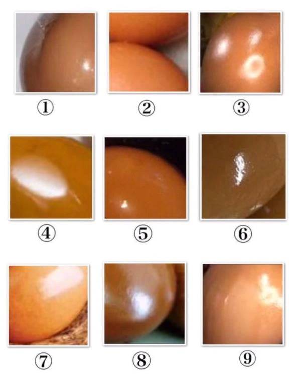黒ギャルのお尻と煮卵の区別がつきません(笑)🥚🤔💭