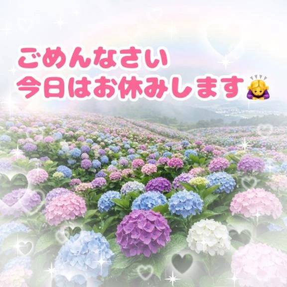 ごめんなさい😭今日はお休みします🙇‍♀️