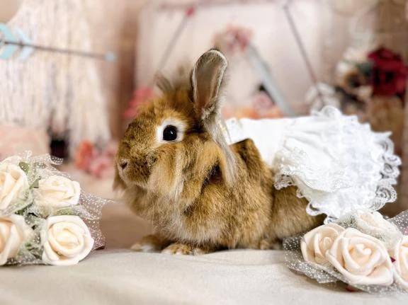 おはようございます♡