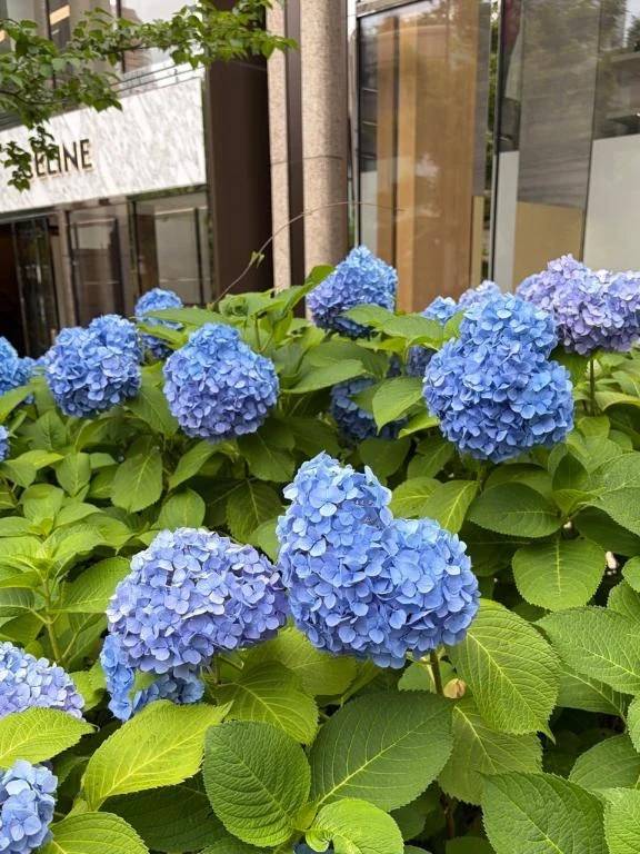 ☆本日の御礼☆
