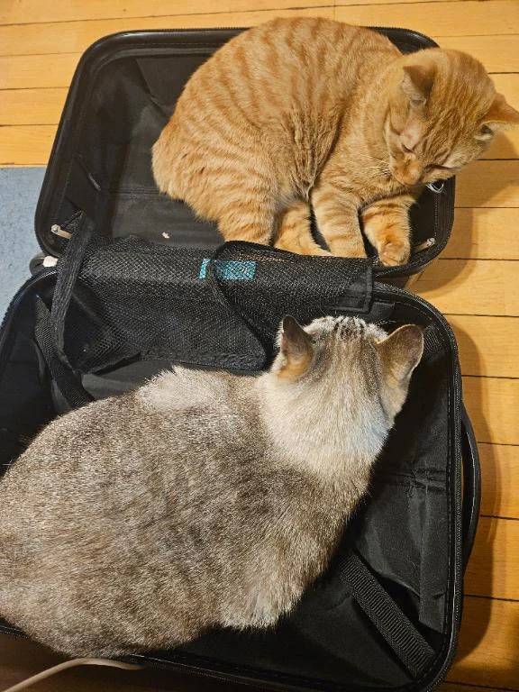 つぎの出勤は❤️