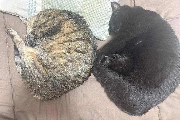 次回明日月曜日♡