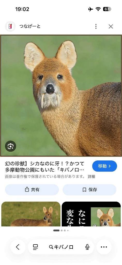 次回明日火曜日♡