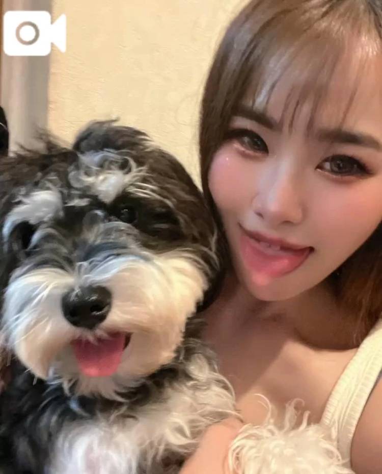 真似😝