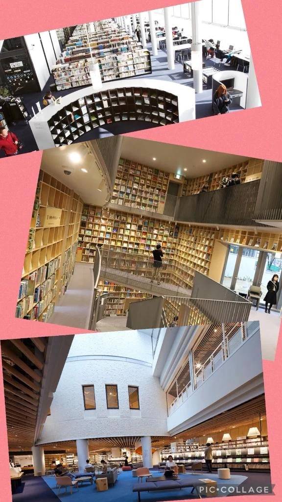 🏛️図書館巡りしたくなります🤭