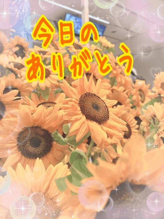 今日のありがとう❤️