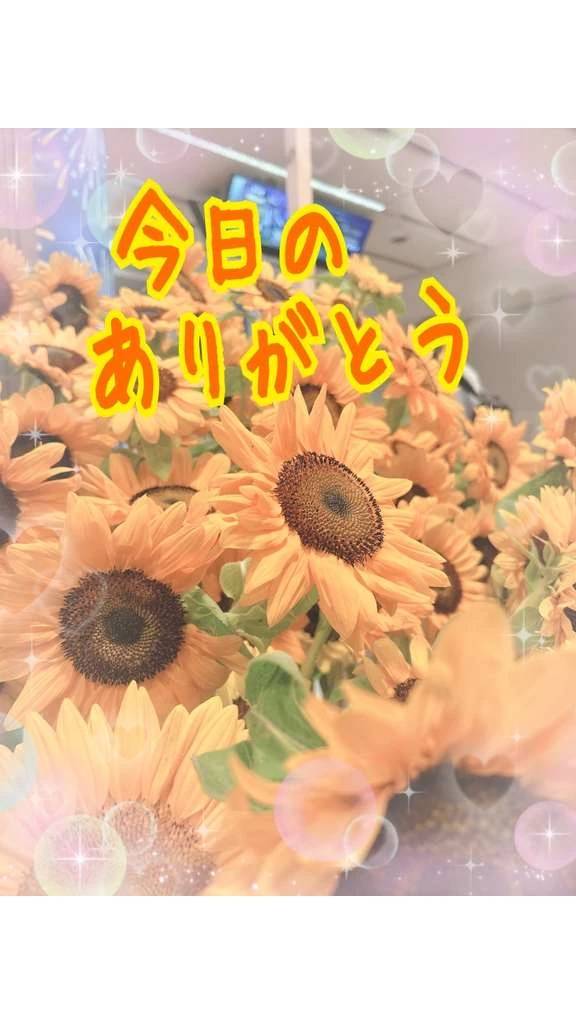 今日のお礼❤️
