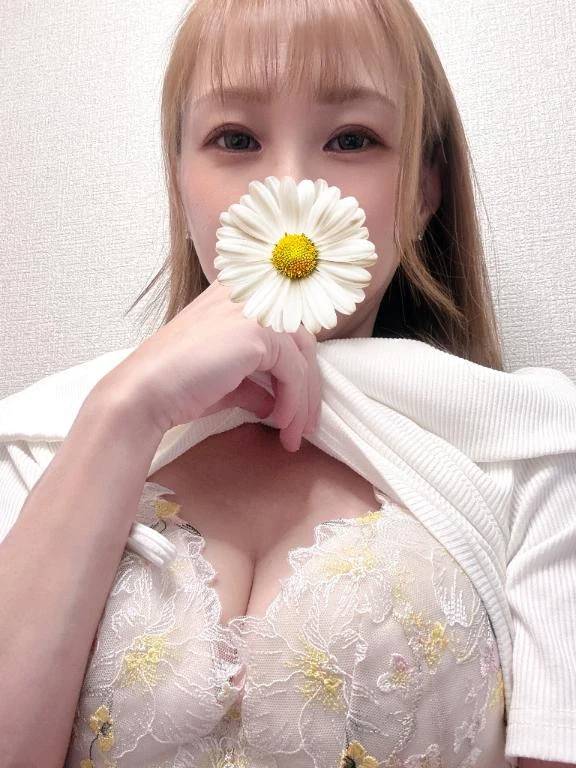 おはようございます🌼*･