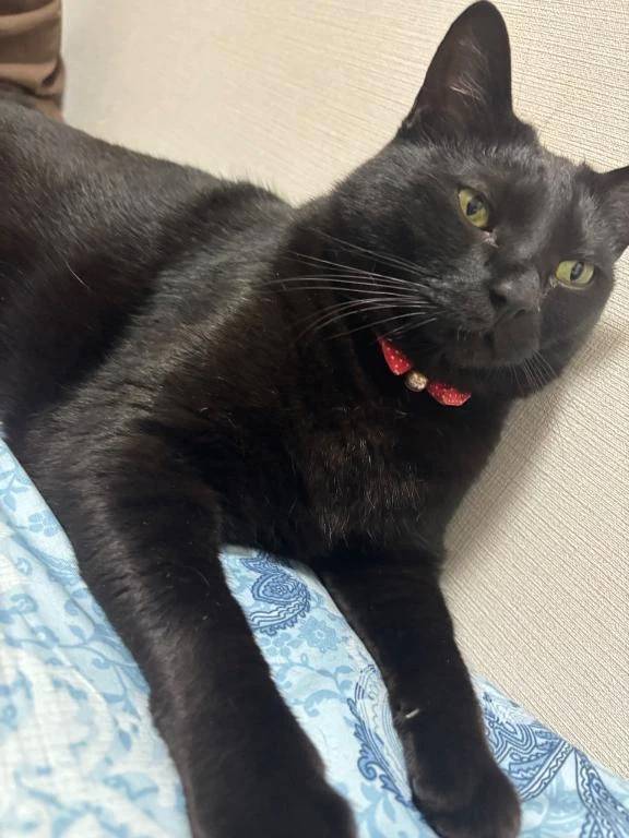 次回明日金曜日♡