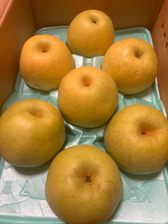 今年も🍐🩷