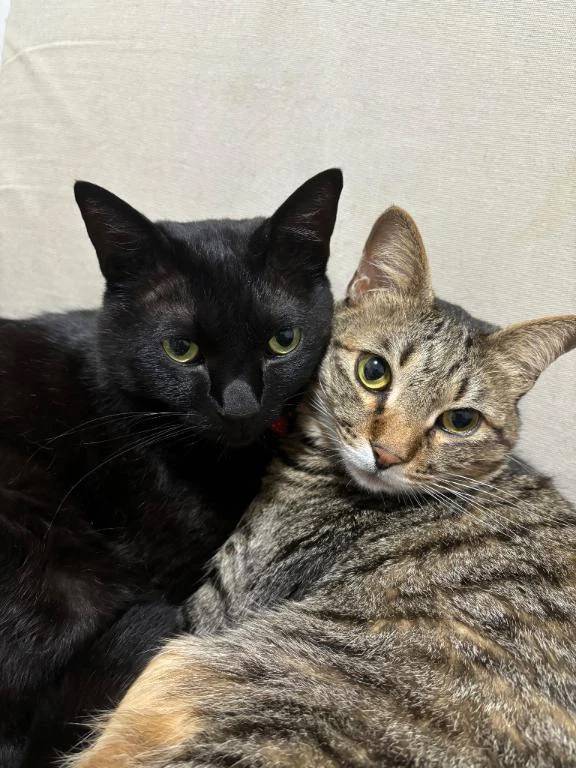次回明日月曜日♡