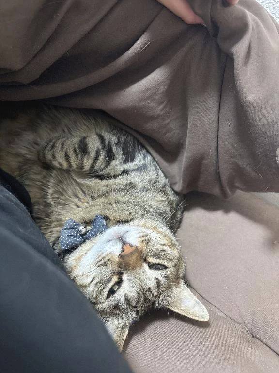 次回明日水曜日♡