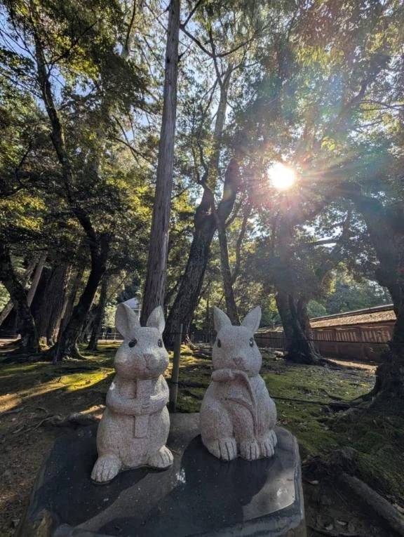【本日キャンセル】