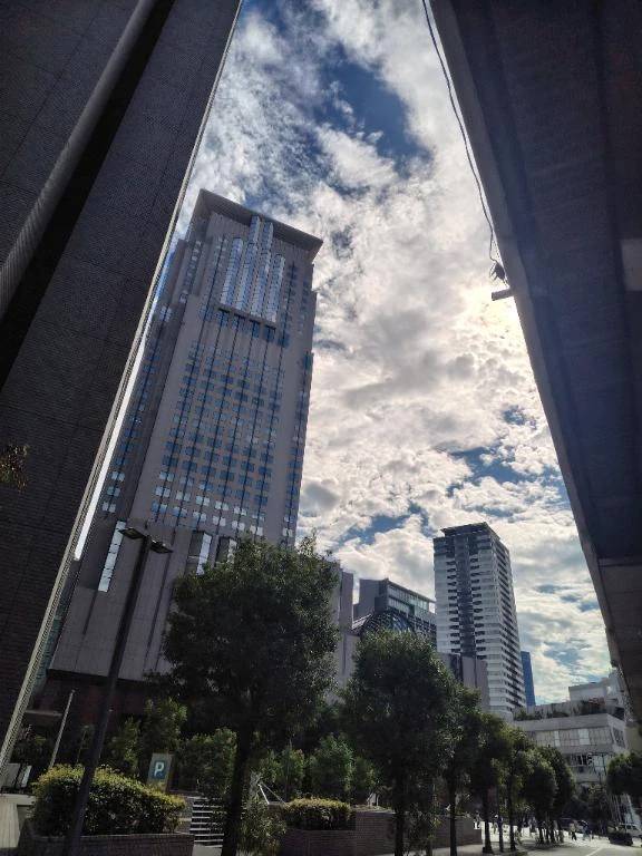 歩きやすい🚶‍♀️‍➡️