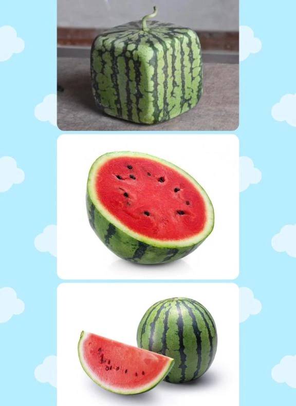 🧂スイカに塩って科学ですよね🍉
