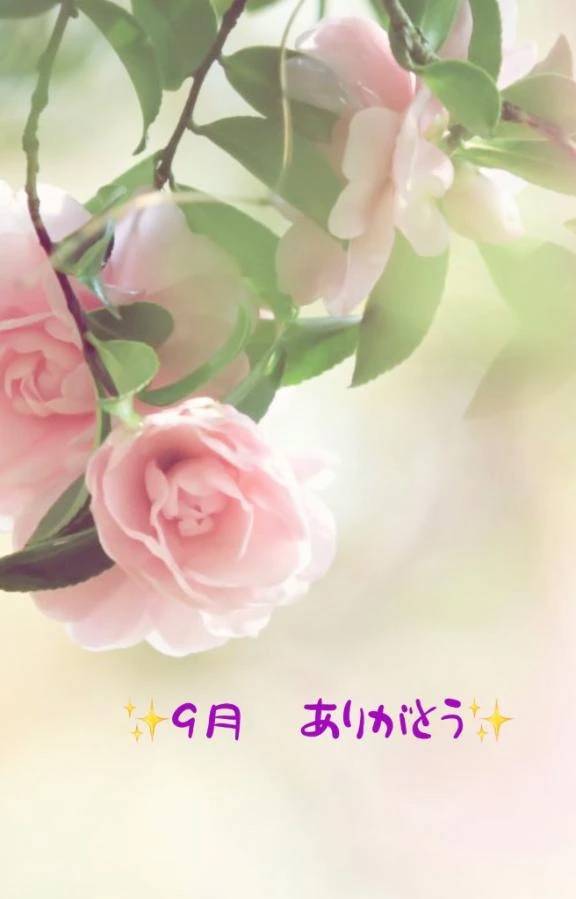 🩷皆さま🩷9月ありがとう🩷