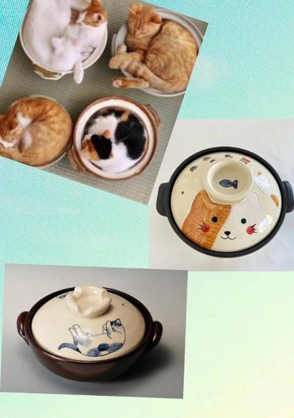🍲お鍋のサイズ、永遠に悩む🤔💭