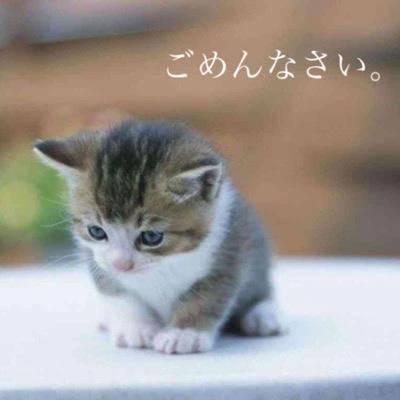 申し訳ございません