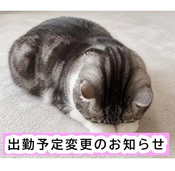 🐈‍⬛【お知らせ】出勤予定の変更について🗓