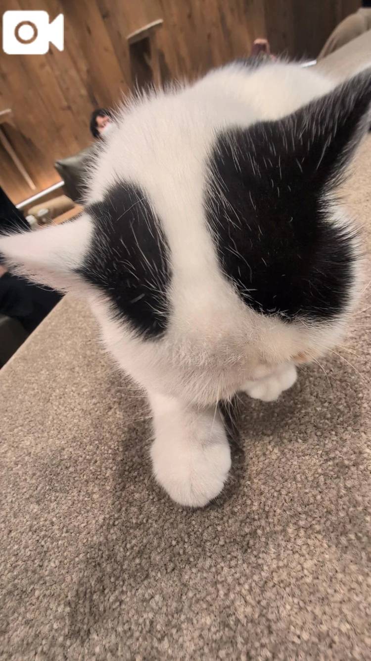 💓おはようございます(*^^*)