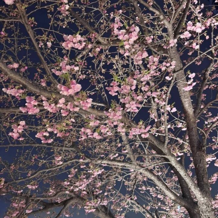 色んな葛藤