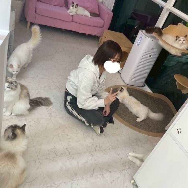 どっち派？