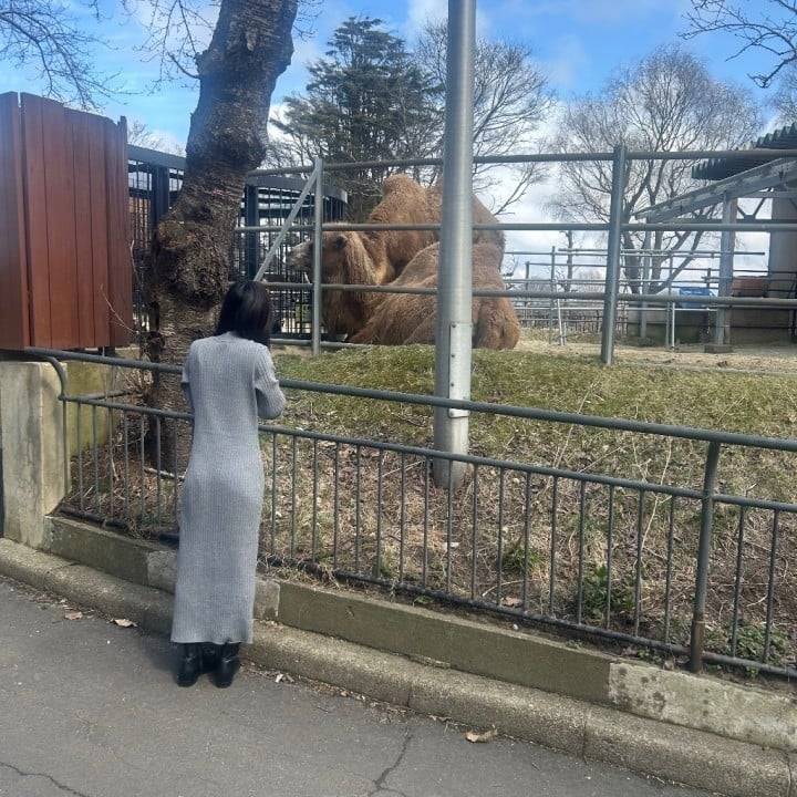 実は・・・