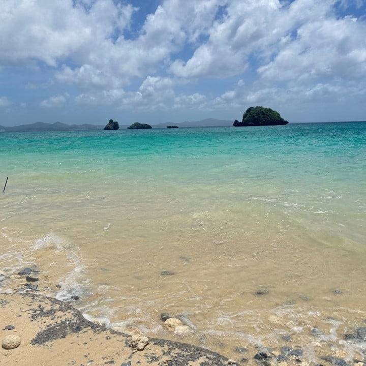🏖️
