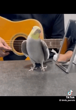 もに🐥⸒⸒