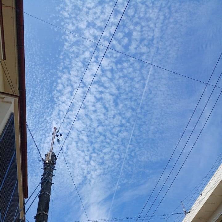 おはようございます☀️🌱