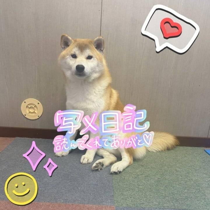 お兄さん達へ