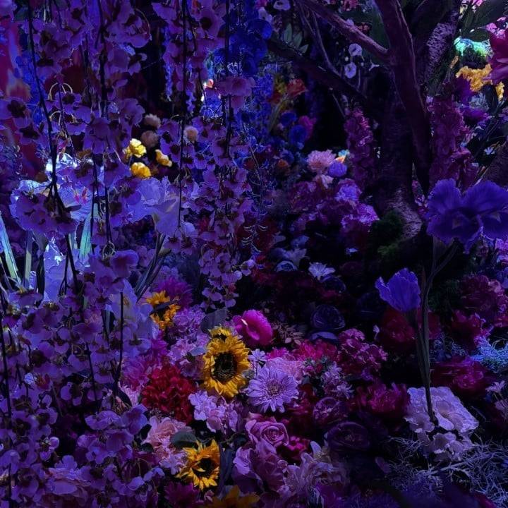 〰️ひとりごと〰️
