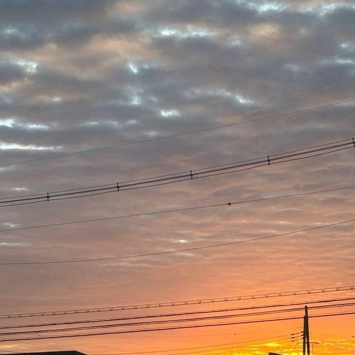 早起きしたのよ