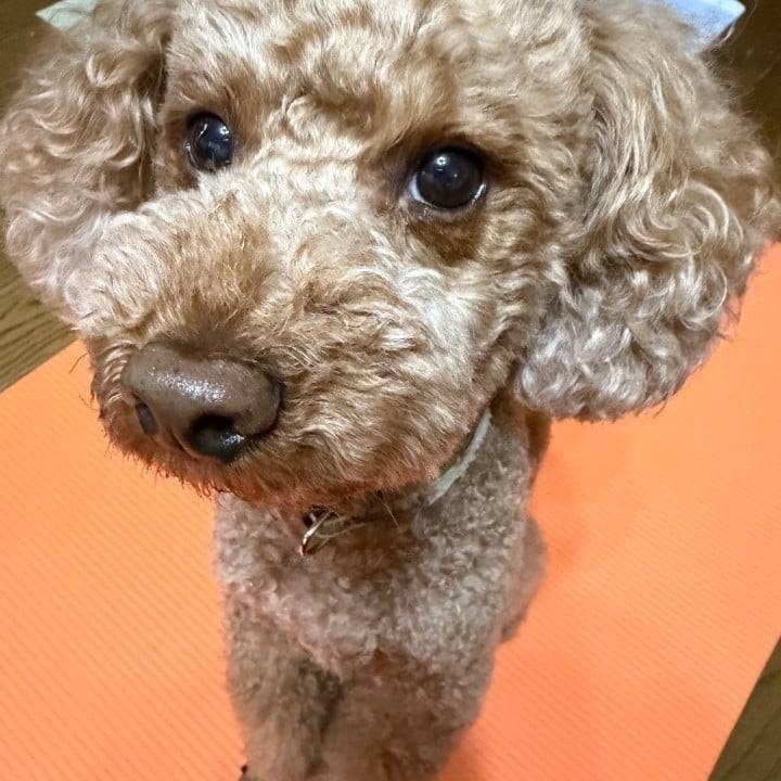 今日も楽しかったなぁ