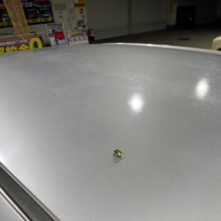 変な声でた😇///////