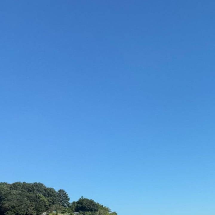 どちらの思考も好きよ