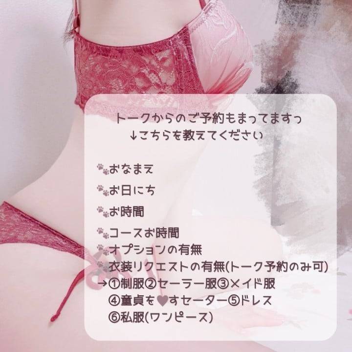 秋服の正解ってなんだろう…🐾