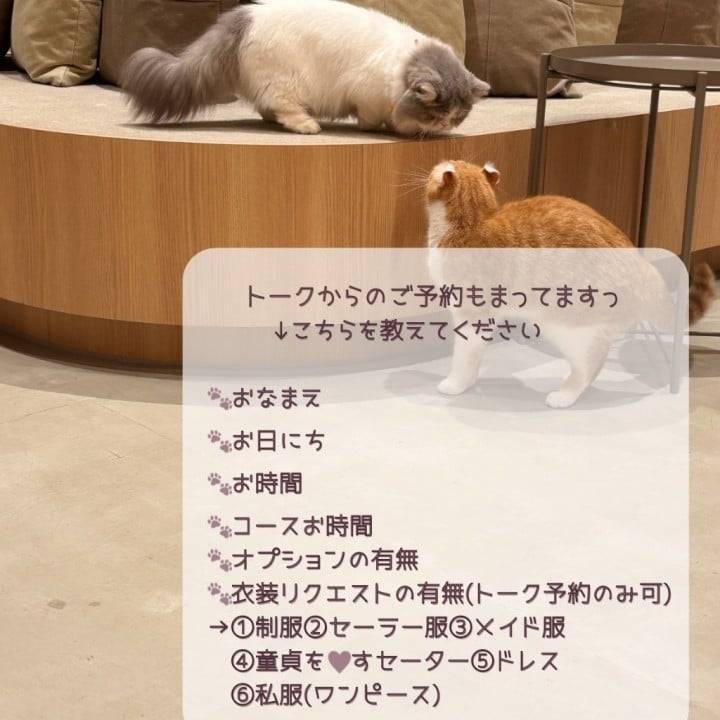 あしたみおいます🐾