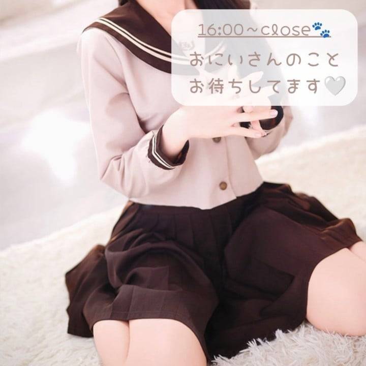 みお到着🐾